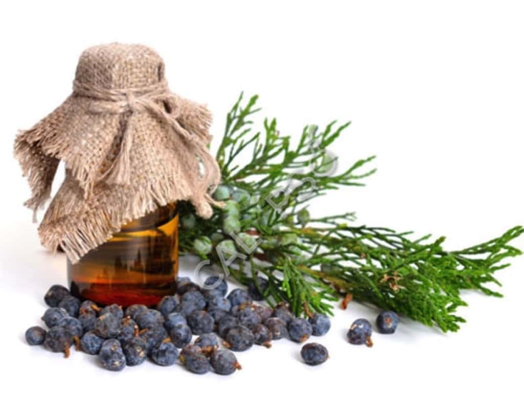 Enebro Berry Spice Oil